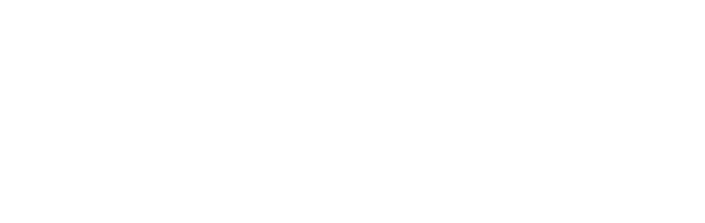 Domestic Violence Association NB